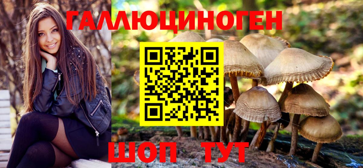 Выборг  Псилоцибиновые грибы Magic Shrooms  дарнет шоп  Вход с VPN 